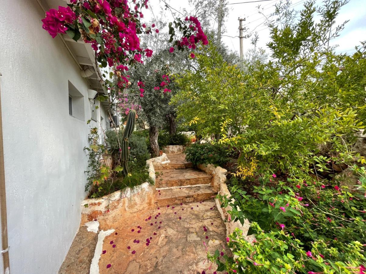 Kaktus Beach Apart Kas Exterior photo